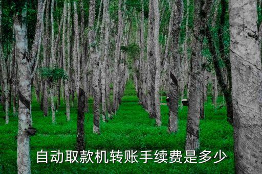 自動(dòng)取款機(jī)轉(zhuǎn)賬手續(xù)費(fèi)是多少