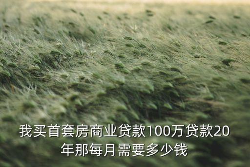 我買首套房商業(yè)貸款100萬貸款20年那每月需要多少錢