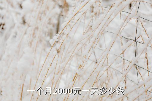 一個(gè)月2000元一天多少錢