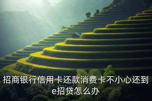 為什么沒有e招貸，除了中信有e招貸別的銀行有嗎