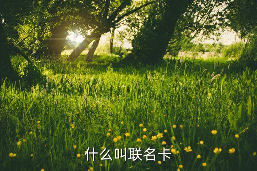 什么叫聯(lián)名卡