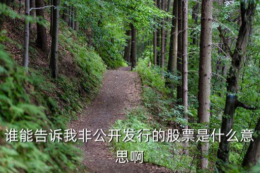 誰能告訴我非公開發(fā)行的股票是什么意思啊