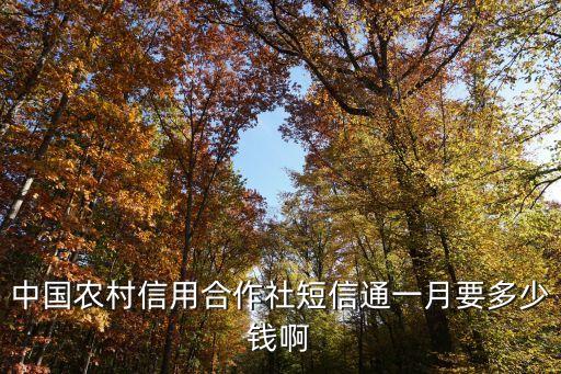 中國農(nóng)村信用合作社短信通一月要多少錢啊