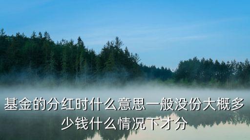 基金投資一年分紅多少錢(qián)，基金計(jì)算花10萬(wàn)元買(mǎi)一個(gè)基金可以分紅多少