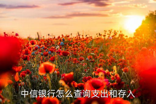 中信銀行二代支付存入什么意思，我今天中信銀行二代支付轉(zhuǎn)賬2000是什么意思啊