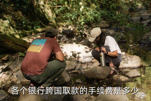 銀行卡跨國(guó)取款手續(xù)費(fèi)多少，各個(gè)銀行跨國(guó)取款的手續(xù)費(fèi)是多少