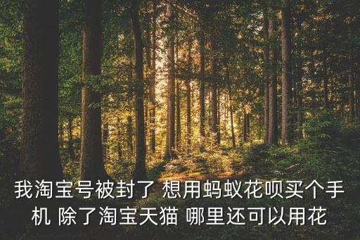 什么平臺支持花唄支付方式，有哪些網(wǎng)站上是可以用花唄交易