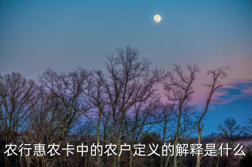 惠農(nóng)是什么，為什么農(nóng)業(yè)銀行的惠農(nóng)卡那么難辦