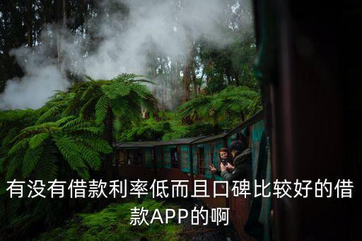 什么貸安全又利息低，除了借唄還有哪個(gè)網(wǎng)貸借款利息低