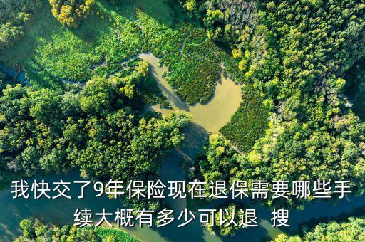 我快交了9年保險(xiǎn)現(xiàn)在退保需要哪些手續(xù)大概有多少可以退  搜