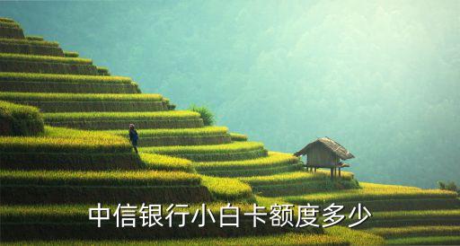 中信小白卡臨時(shí)額度是多少，中信銀行信用卡臨時(shí)額度可提升多少