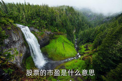 股票的市盈是什么意思