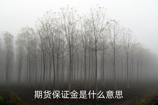 期貨保證金是什么意思