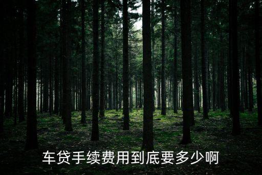 汽車首付手續(xù)費多少，汽車分期付款手續(xù)費得多少錢都有哪些