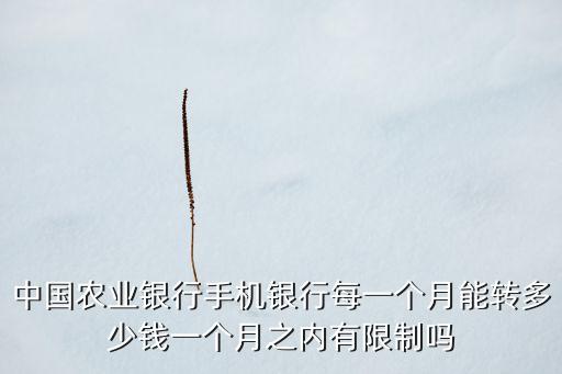中國農(nóng)業(yè)銀行手機(jī)銀行每一個(gè)月能轉(zhuǎn)多少錢一個(gè)月之內(nèi)有限制嗎