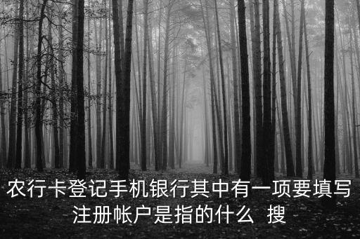 農(nóng)行卡登記手機銀行其中有一項要填寫注冊帳戶是指的什么  搜
