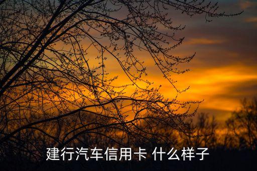 建行信用卡長什么樣，建行信用卡和儲蓄卡外觀怎樣區(qū)分