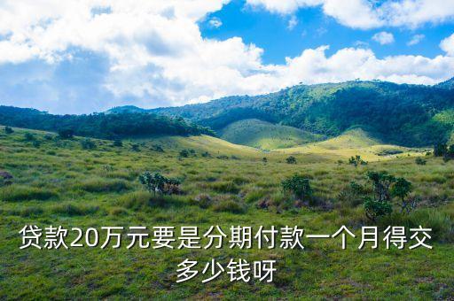 20萬車貸款一月多少錢，向銀行貸款20萬買車10年還清20年還清30年還清大概每月還