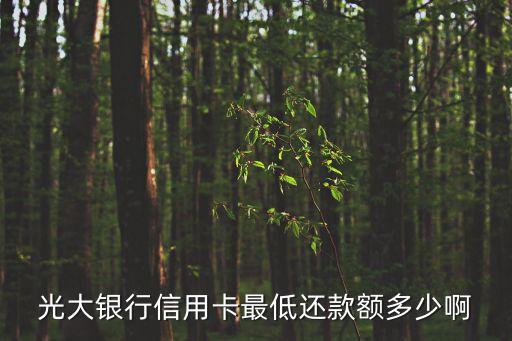 光大銀行信用卡最低還款額多少啊