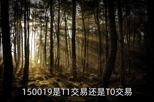 150019杠桿是多少，如果看好大盤可以買入150019通過杠桿獲取超額收益