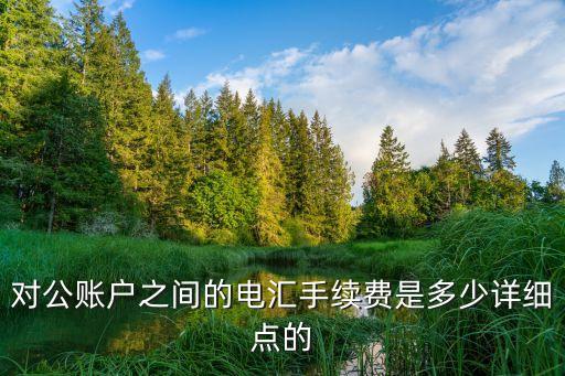 中信對(duì)公電匯手續(xù)費(fèi)多少，對(duì)公賬戶(hù)之間的電匯手續(xù)費(fèi)是多少詳細(xì)點(diǎn)的