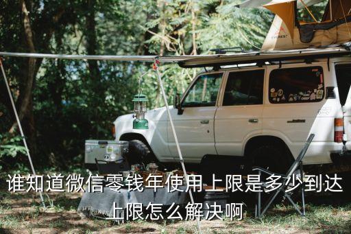誰(shuí)知道微信零錢(qián)年使用上限是多少到達(dá)上限怎么解決啊