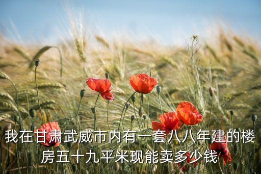 98年的房子能代多少錢，保定我有一套二手房出售70平米1998年的大概要賣多少錢