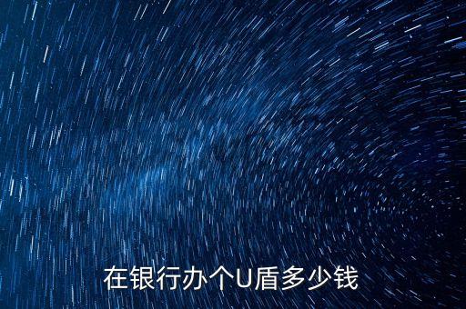 在銀行辦個(gè)U盾多少錢