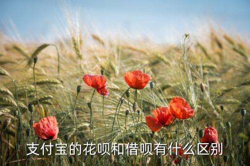 借唄花唄是什么意思，支付寶螞蟻花唄借唄是什么意思是什么