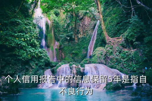 個人信用報告中的信息保留5年是指自不良行為