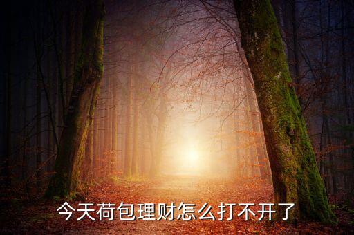 荷包更新打不開為什么，DNF更新包打不開
