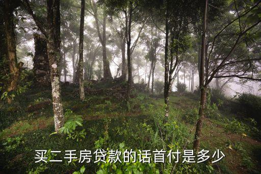 買二手房貸款的話首付是多少