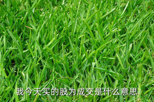 我今天買的股為成交是什么意思