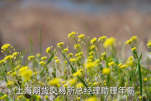 上海期貨交易所總經(jīng)理助理年薪