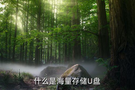 金融網(wǎng)格化是什么，濟(jì)南萬(wàn)達(dá)廣場(chǎng)周圍購(gòu)物方便嗎