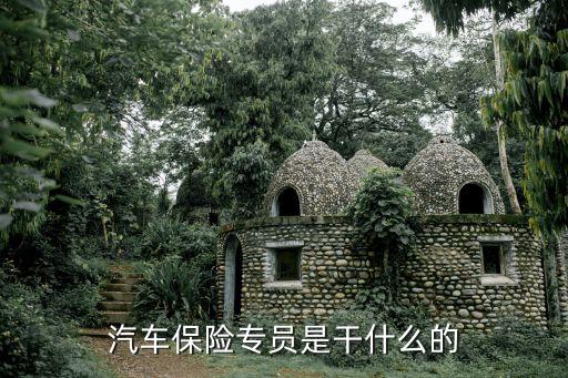 汽車保險(xiǎn)專員是干什么的