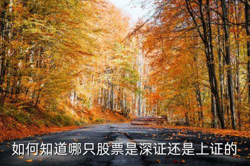 深證股票是多少開頭，上證和深證的股票分別是多少開頭的