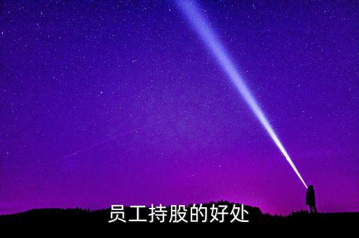 員工入股的好處是什么，員工持股的好處
