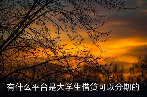 有什么平臺(tái)是大學(xué)生借貸可以分期的
