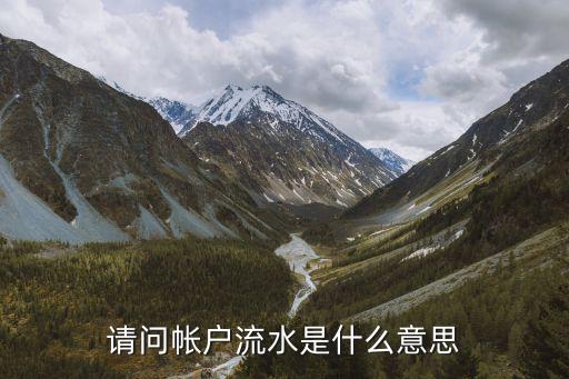 請(qǐng)問(wèn)帳戶流水是什么意思