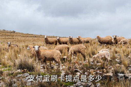 網上刷卡提額度是多少錢，支付寶刷卡提點是多少