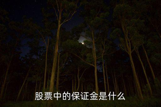 押保證金叫什么股，融資融券哪些股票可作為保證金