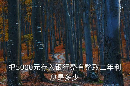 把5000元存入銀行整有整取二年利息是多少