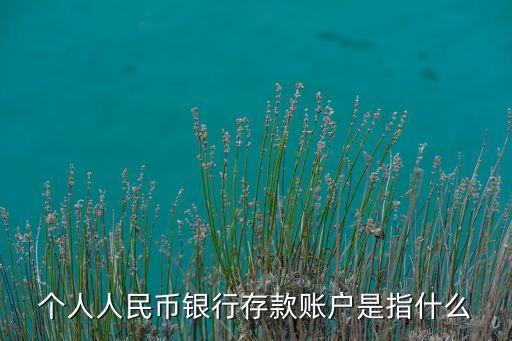 個人人民幣銀行存款賬戶是指什么