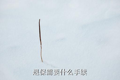 銀行退保需要什么手續(xù)，退保需要什么手續(xù)