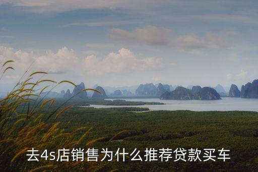 去4s店銷售為什么推薦貸款買車