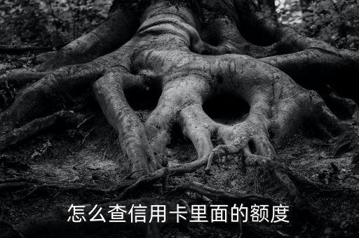 怎么查信用卡里面的額度