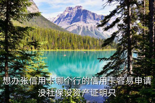 想辦張信用卡哪個(gè)行的信用卡容易申請(qǐng)沒(méi)社保沒(méi)資產(chǎn)證明只