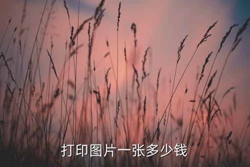 打印圖片一張多少錢