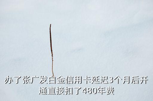 廣發(fā)白金信用卡要年費多少，辦了張廣發(fā)白金信用卡延遲3個月后開通直接扣了480年費